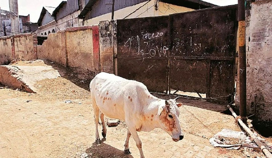மாட்டிறைச்சி வைத்திருந்தவர்களுக்கு குஜராத்தில் ஆயுள் தண்டனை
