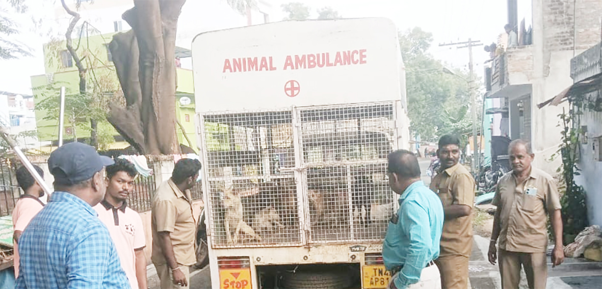 திருப்பூர் மாவட்டம், அவிநாசி நகர்மன்றக் கூட்டத்தில் கவுன்சிலர்கள்