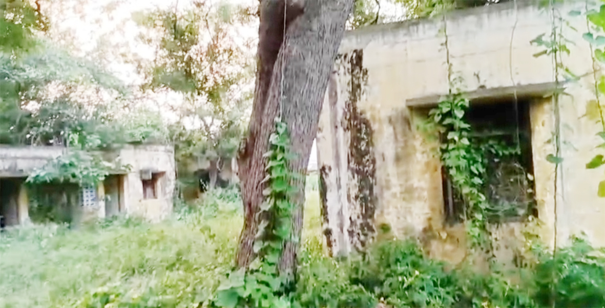 புதர்மண்டி காணப்படும் காவலர் குடியிருப்பு