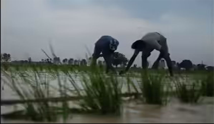 வஞ்சிப்பதையே வேலையாய்...