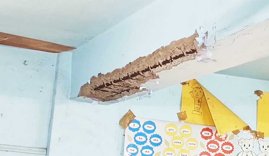 பள்ளியின் மேற்கூரை இடிந்து விழும் அபாயம்