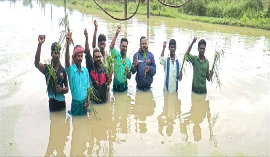 தொடர்மழையால் நீரில் மூழ்கிய நெற்பயிர்கள் உரிய நிவாரணம் வழங்க விவசாயிகள் கோரிக்கை