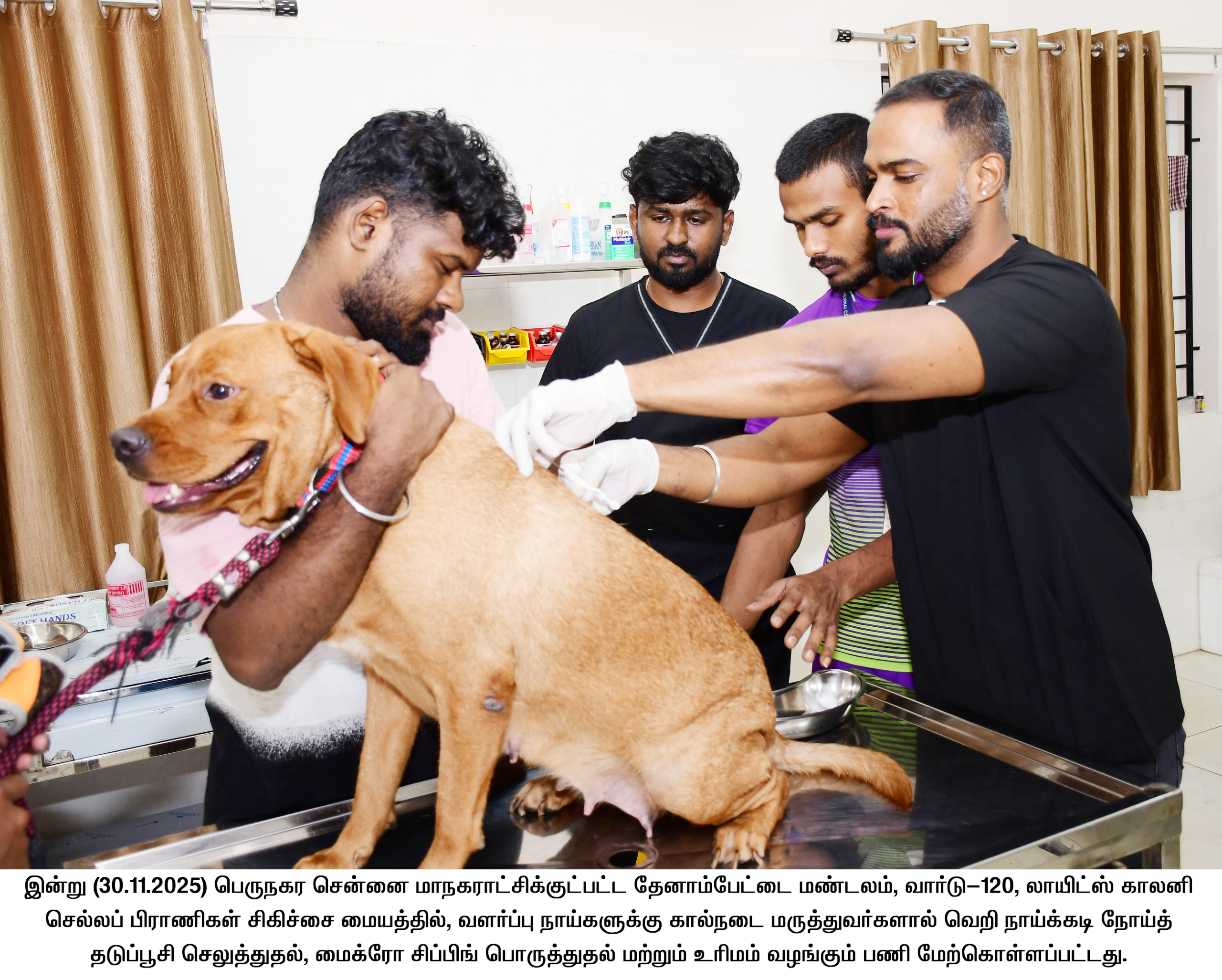 செல்லப் பிராணி வளர்ப்பை முறைப்படுத்த ஒரே நாளில் 726 செல்லப் பிராணிகளுக்கு உரிமம் வழங்கியது சென்னை மாநகராட்சி