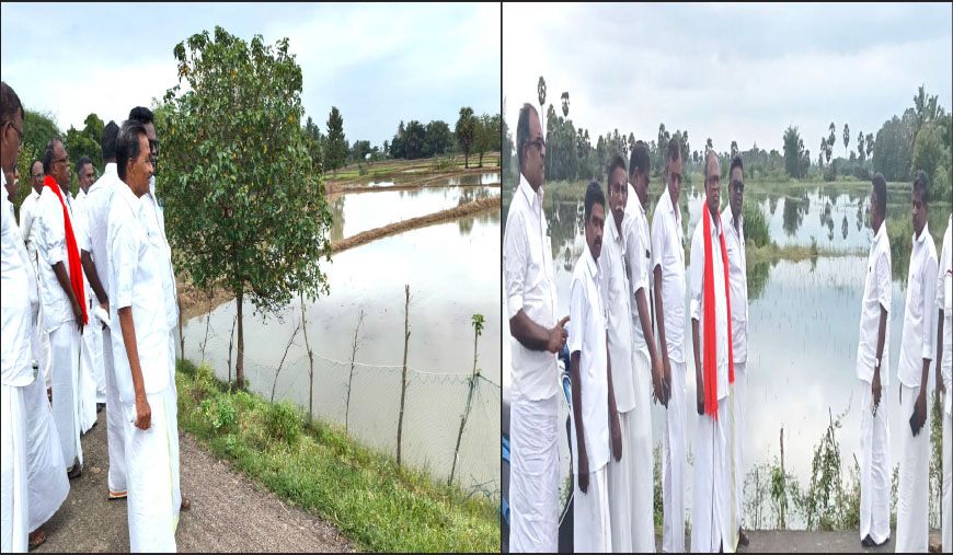 டெல்டா மாவட்டங்களில் ‘டிட்வா’ புயலால் பெரும் பாதிப்பு சம்பா, தாளடிப் பயிர்கள் முற்றாக நாசம்