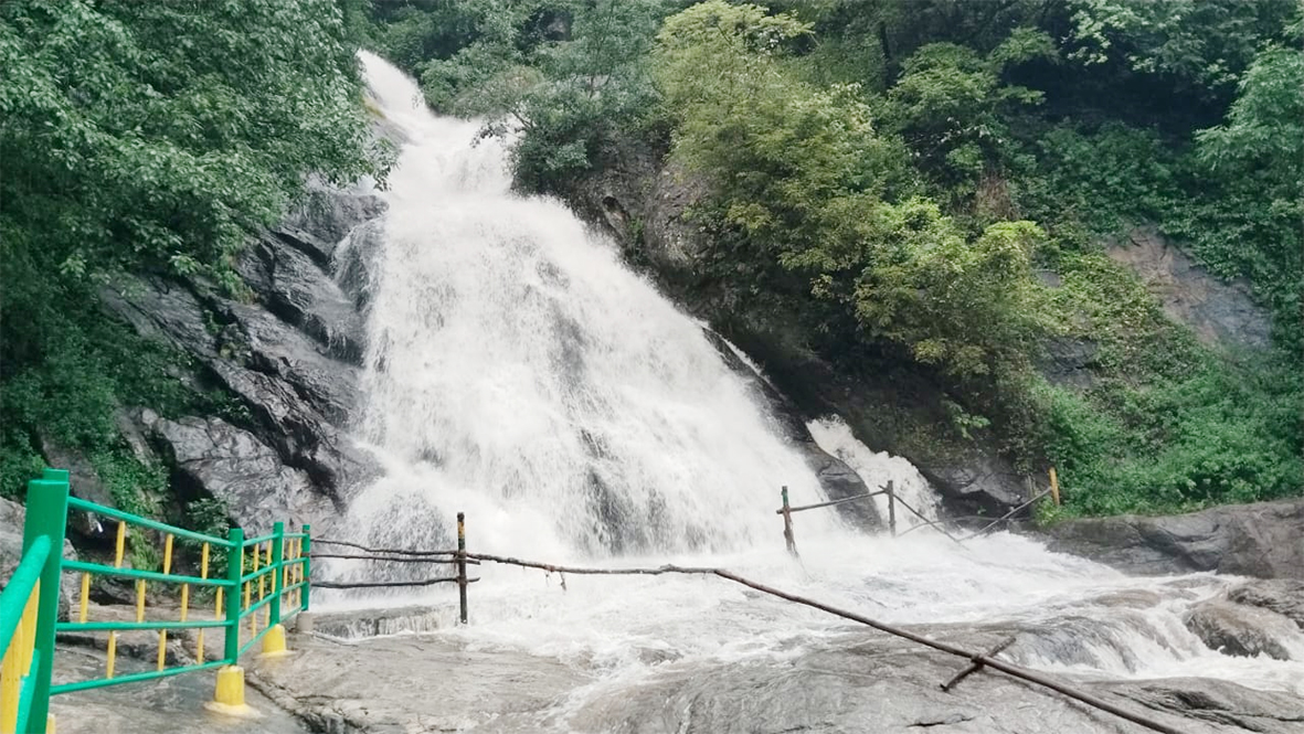 கோவை மாவட்டத்தில் பெய்த மழையால்