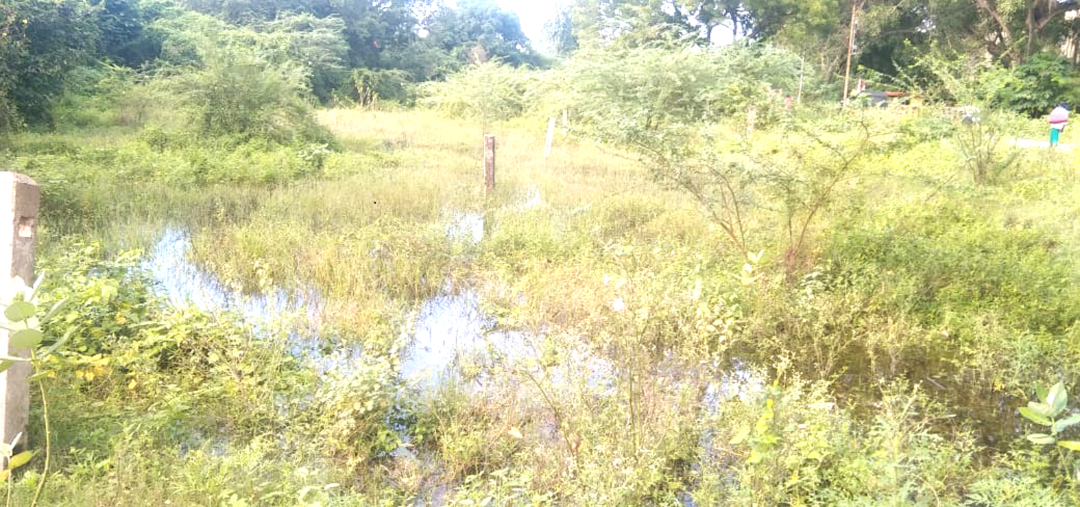தஞ்சாவூர் - கும்பகோணம் இடையே உள்ள பாபநாசம்