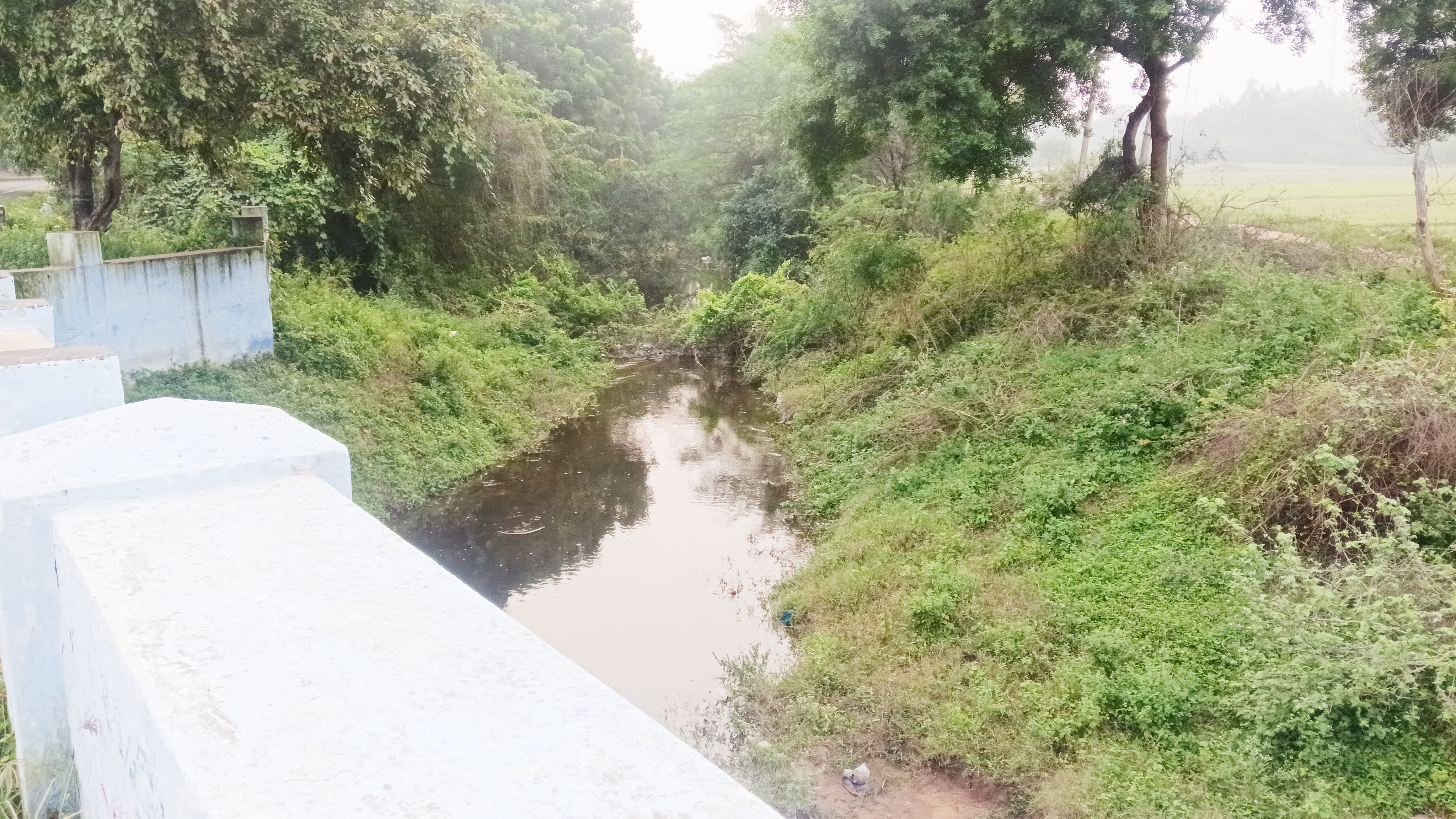 ஊசுடு ஏரிக்கு தண்ணீர் செல்லும் வாய்க்கால் சீரமைப்புக்கு கிராம மக்கள் கோரிக்கை