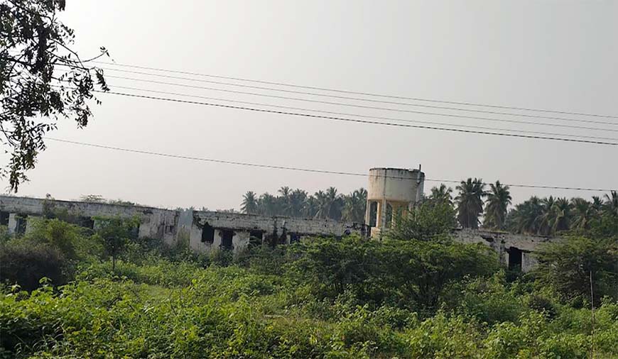 உடுமலையில் வனமாக மாறிய வீட்டு வசதி வாரிய குடியிருப்புகளில் வனவிலங்குள் தஞ்சம்