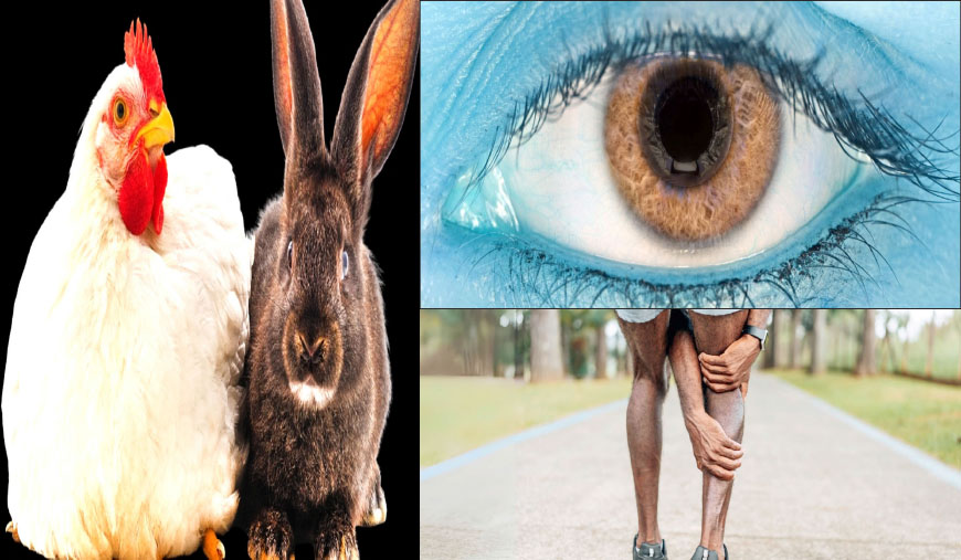 அறிவியல் கதிர் - ரமணன்