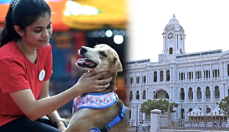 உரிமம் பெறாமல் நாய் வளர்ப்பவர்களுக்கு இன்றுமுதல் அபராதம்!