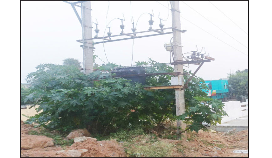 மின்மாற்றியை சுற்றியுள்ள புதரை அகற்ற பொதுமக்கள் வலியுறுத்தல்