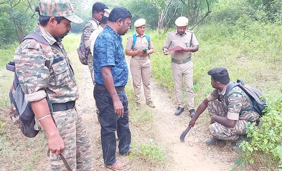 குளிர்கால புலிகள் கணக்கெடுப்புப் பணி துவக்கம்