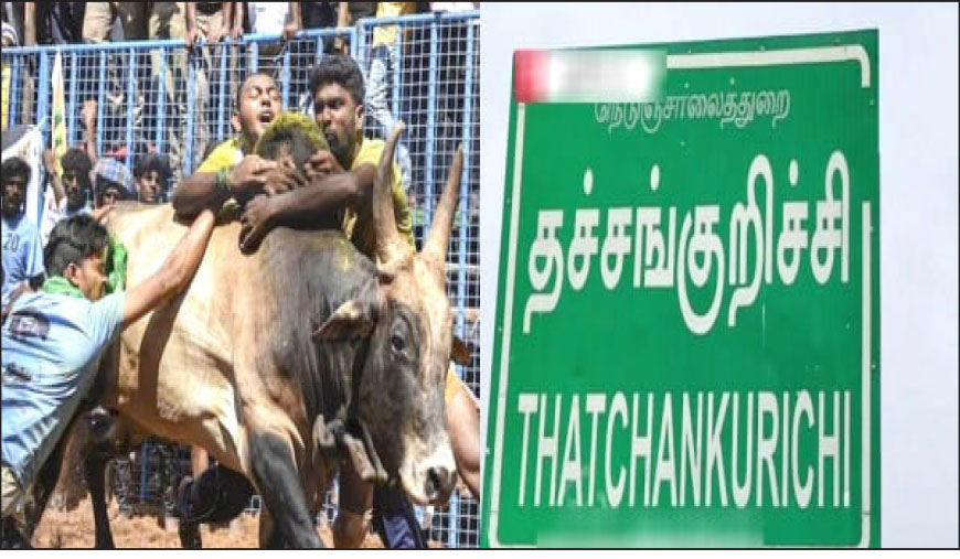 நாளை ஆண்டின் முதல் ஜல்லிக்கட்டு தச்சங்குறிச்சியில் ஏற்பாடுகள் தீவிரம்