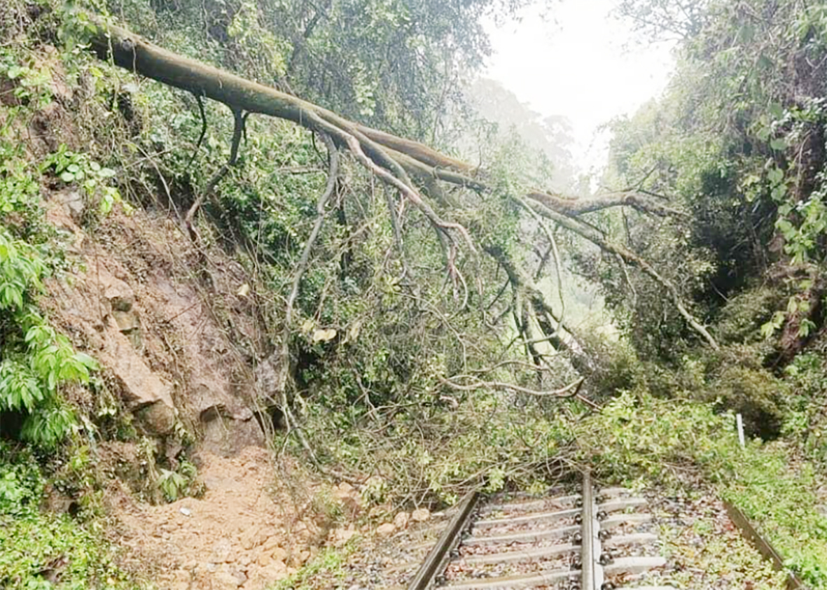 நீலகிரியில் கனமழை: குன்னூரில் 21.5 செ.மீ. மழைப்பதிவு