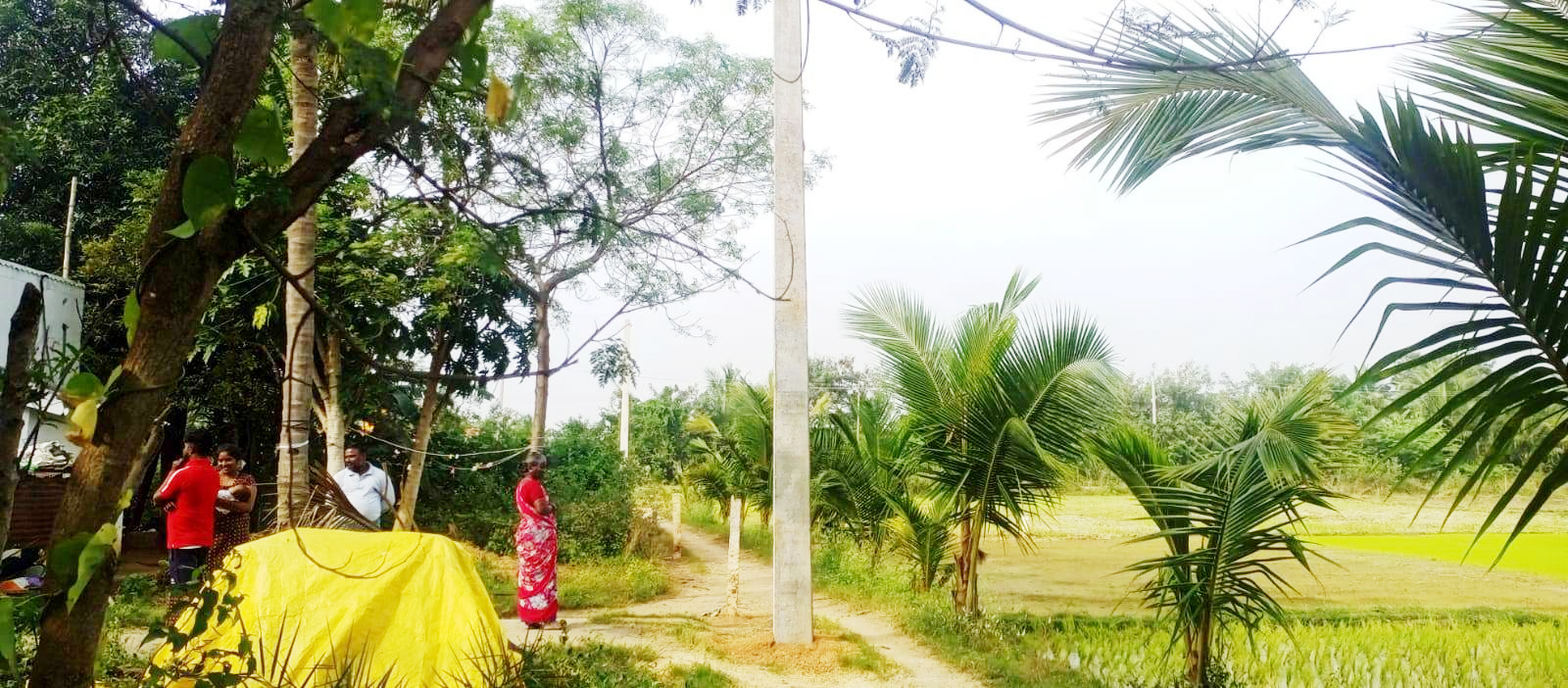 விபரீதம்: தனிநபர் மிரட்டலுக்கு பணிந்து சாலை நடுவே மின்கம்பங்கள்!