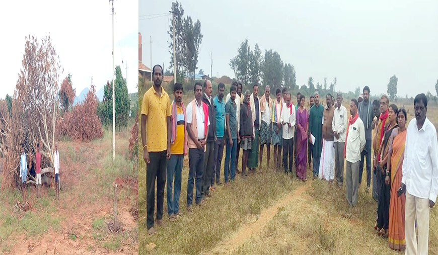1 லட்சம் மரங்களை வெட்டுவதையும், பயிர்களை அழிப்பதையும் நிறுத்த வேண்டும்