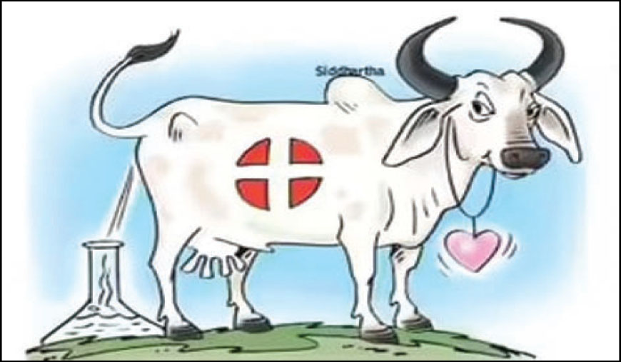 ஸ்கேன் இந்தியா
