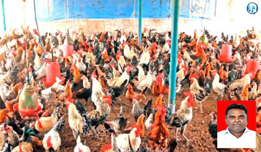 கறிக்கோழி வளர்ப்பு விவசாயிகளைக் கம்பெனிகளிடமிருந்து பாதுகாத்திடுக!