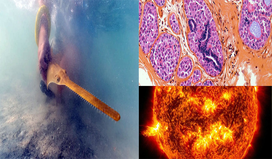அறிவியல் கதிர் - ரமணன்