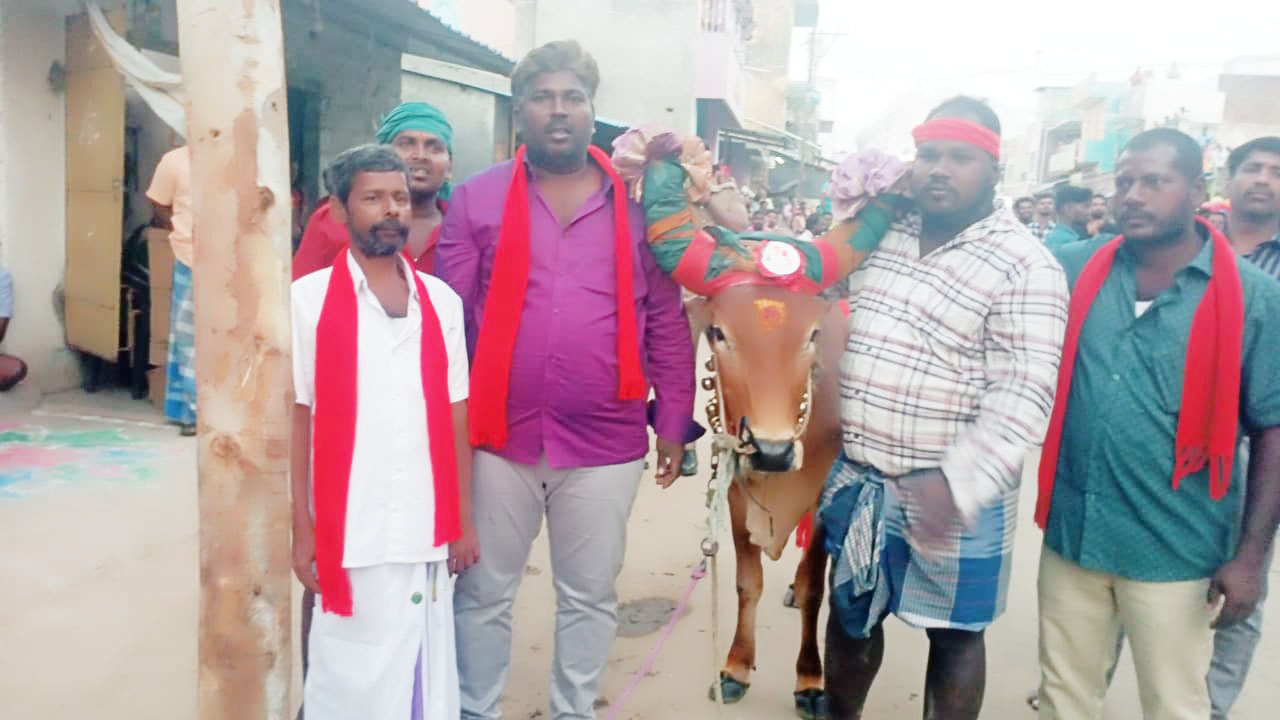 அரிவாள் சுத்தியல் நட்சத்திரத்துடன் மஞ்சு விரட்டு