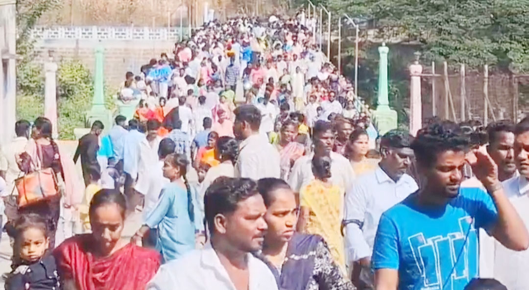 பொங்கல் பண்டிகையை முன்னிட்டு சாத்தனூர் அணையில் குவிந்த பொதுமக்கள்