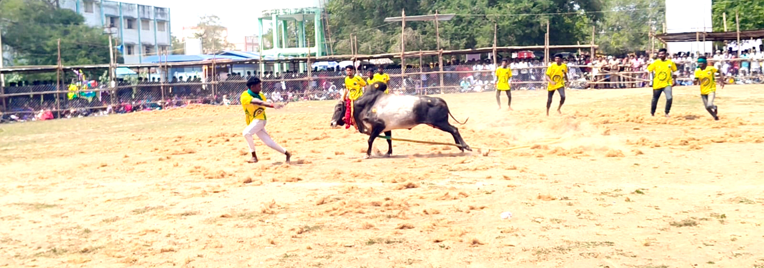 சிலட்டூரில் வடமாடு மஞ்சுவிரட்டு போட்டி