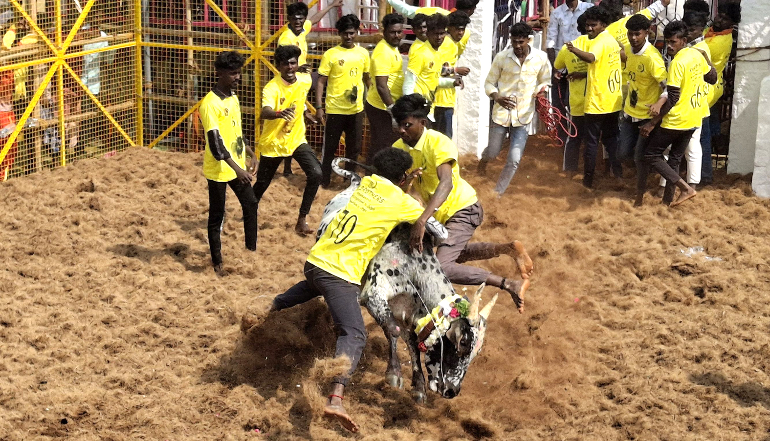 நெய்வாசல் ஜல்லிக்கட்டில் 9 பேர் காயம்