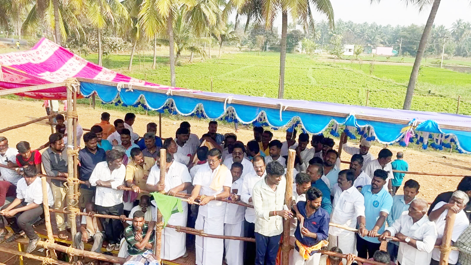 எருது விடும் திருவிழா எம்எல்ஏ நல்லதம்பி துவக்கி வைத்தார்