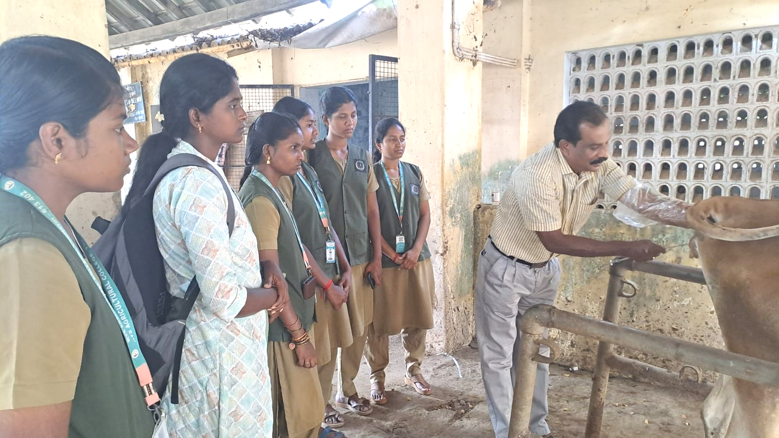கால்நடை மருத்துவமனையில் வேளாண் கல்லூரி மாணவிகளுக்கு பயிற்சி முகாம்