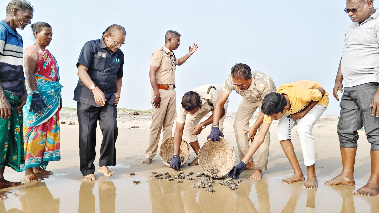பிச்சாவரம் கடற்கரையில் விடப்பட்ட 2,245 ஆமை குஞ்சுகள்