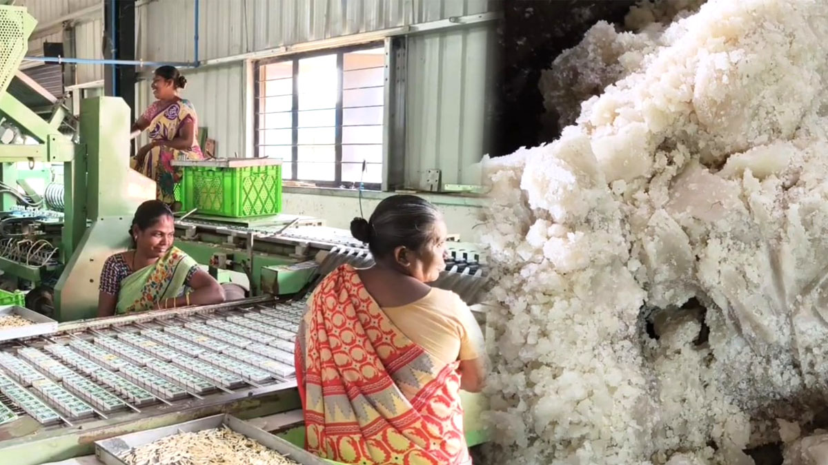தீப்பட்டி தொழிலில் மெழுகு தட்டுப்பாடு - 5 லட்சம் பேர் வேலை இழக்கும் அபாயம்
