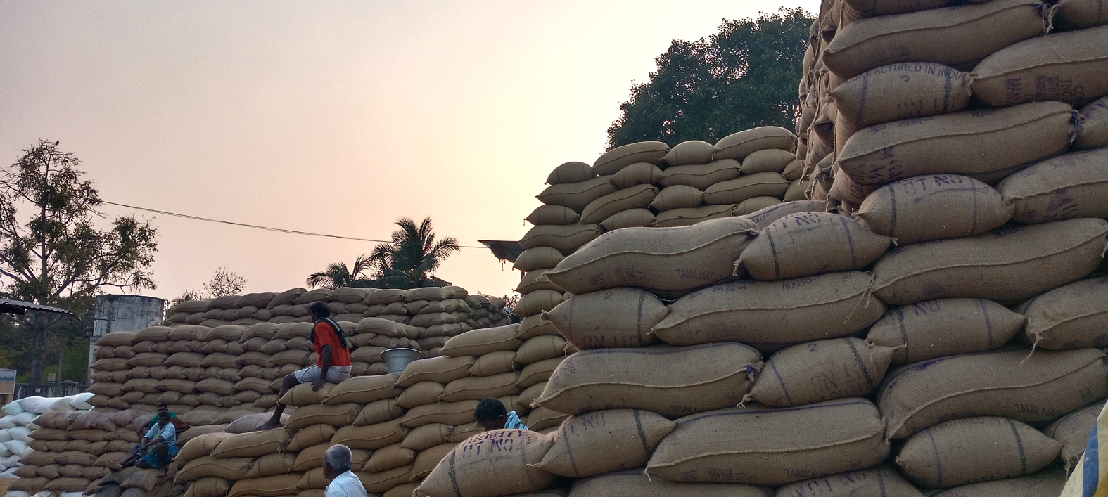 நேரடி கொள்முதல் நிலையங்களில் தேங்கிக் கிடக்கும் நெல் மூட்டைகள்