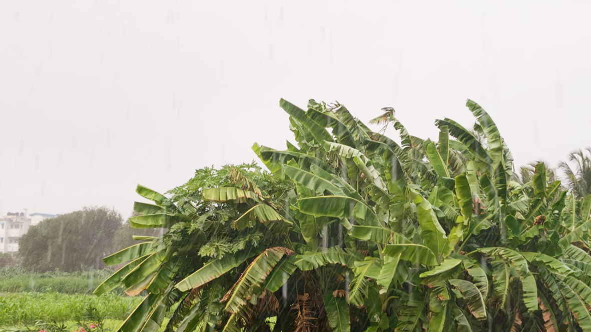கனமழையால் வெப்பம் தணிந்தது