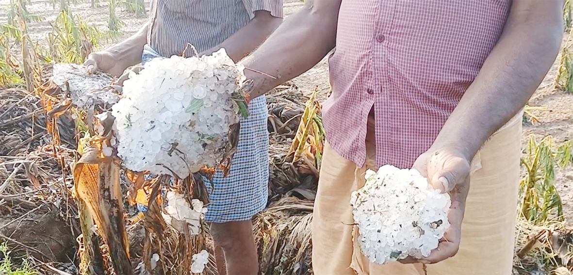 ஆலங்கட்டி மழை: 12 மணி நேரம் கடந்தும் கரையாத பனிக்கட்டிகள்
