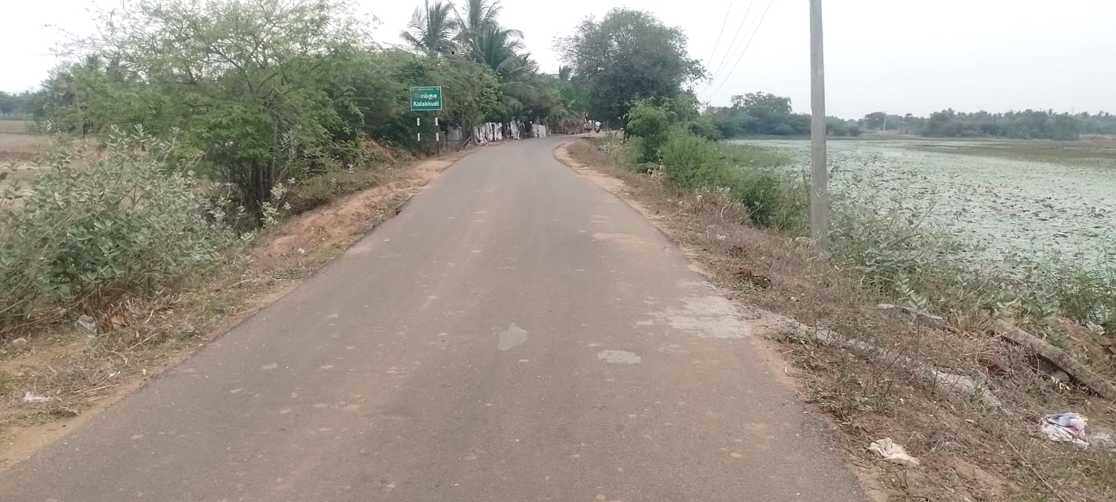 நாகுடி - நிலையூர் சாலை அகலப்படுத்த தமிழக முதல்வருக்கு விவசாயிகள் கோரிக்கை