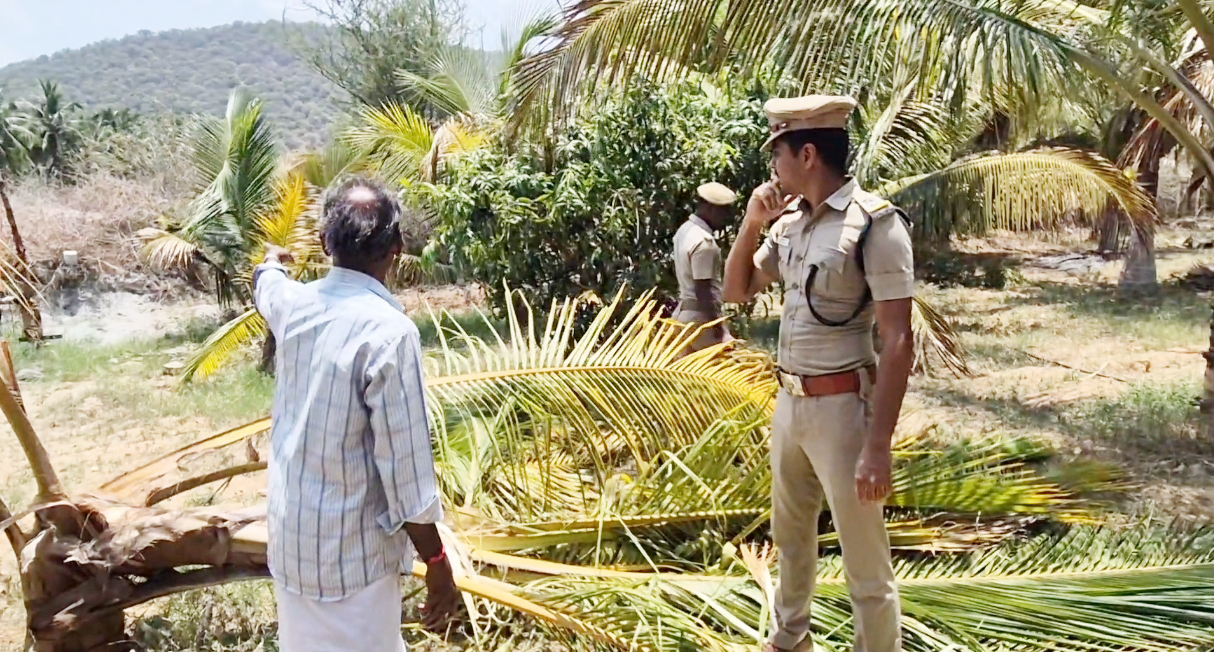 3 ஆவது நாளாக விளைநிலங்களை சேதப்படுத்திய யானைகள்