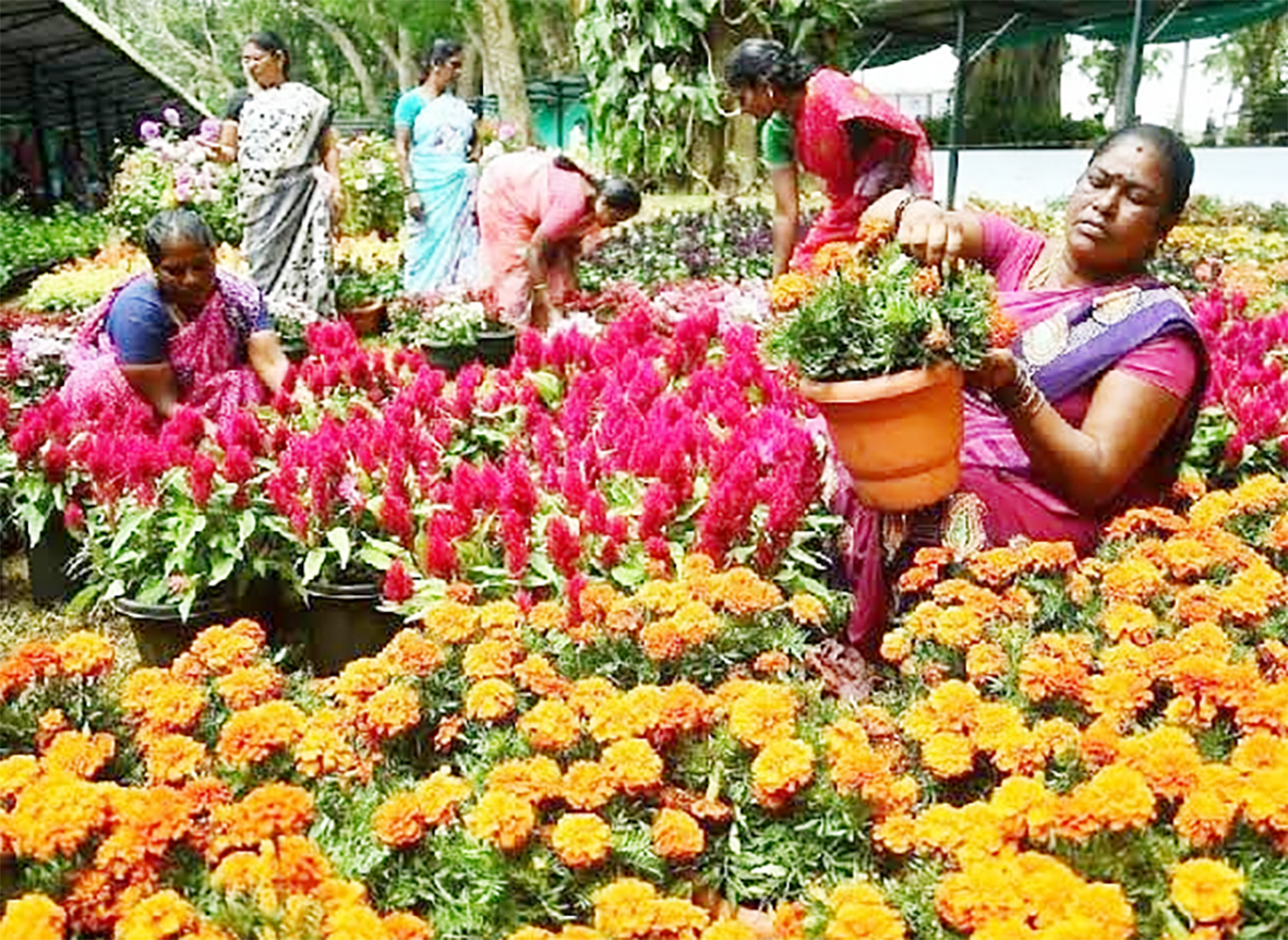 ஏற்காடு: மலர்க்காட்சி மே 22 ஆம் தேதி துவக்கம்