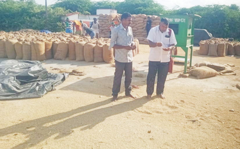சாகுபடி நெல்லை விரைவாக கொள்முதல் செய்து உடனடியாக பணம் வழங்க வேண்டும் செய்யாறில் விவசாயிகள் சங்கம் கோரிக்கை