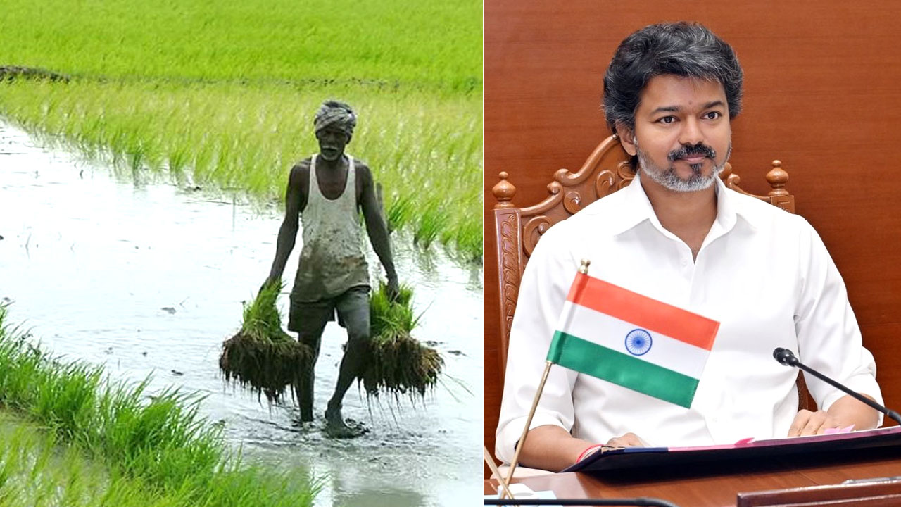 விவசாயிகளுக்கு பயிர்க் கடன் தள்ளுபடி - தமிழ்நாடு முதலமைச்சர் ச.ஜோசப் விஜய் அறிவிப்பு!