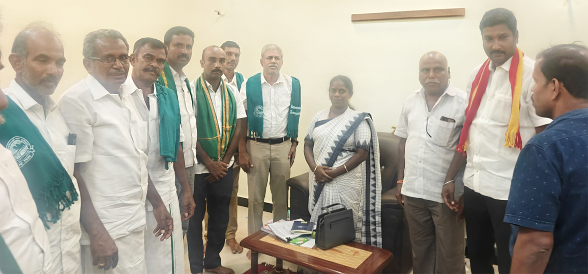 தொடரும் துயரம்: வெறிநாய்கள் கடித்து 30 ஆடுகள் இறப்பு