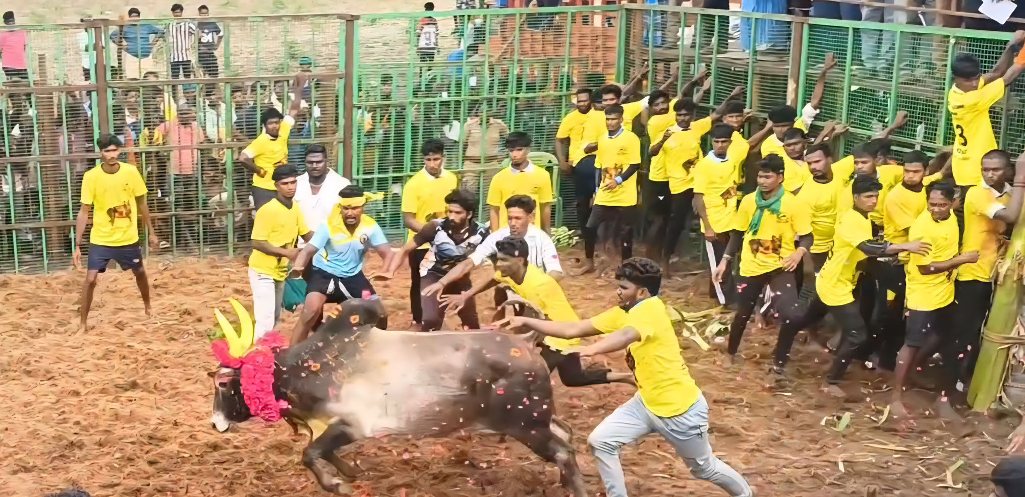 விசுவக்குடி ஜல்லிக்கட்டு : 650 காளைகள், 350 மாடுபிடி வீரர்கள் பங்கேற்பு