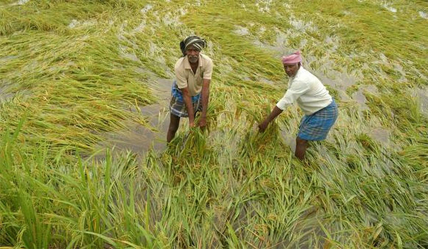 சிறுமைப்படுத்த வேண்டாம்!