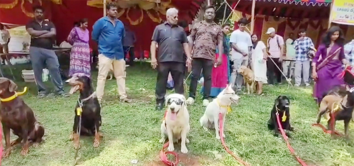 சுற்றுலாப் பயணிகளை கவர்ந்த நாய்கள் கண்காட்சி