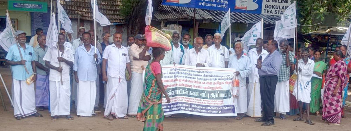 தேங்காய்க்கு கட்டுப்படியான விலை நிர்ணயம் செய்யக் கோரிக்கை தென்னை விவசாயிகள் போராட்டம்