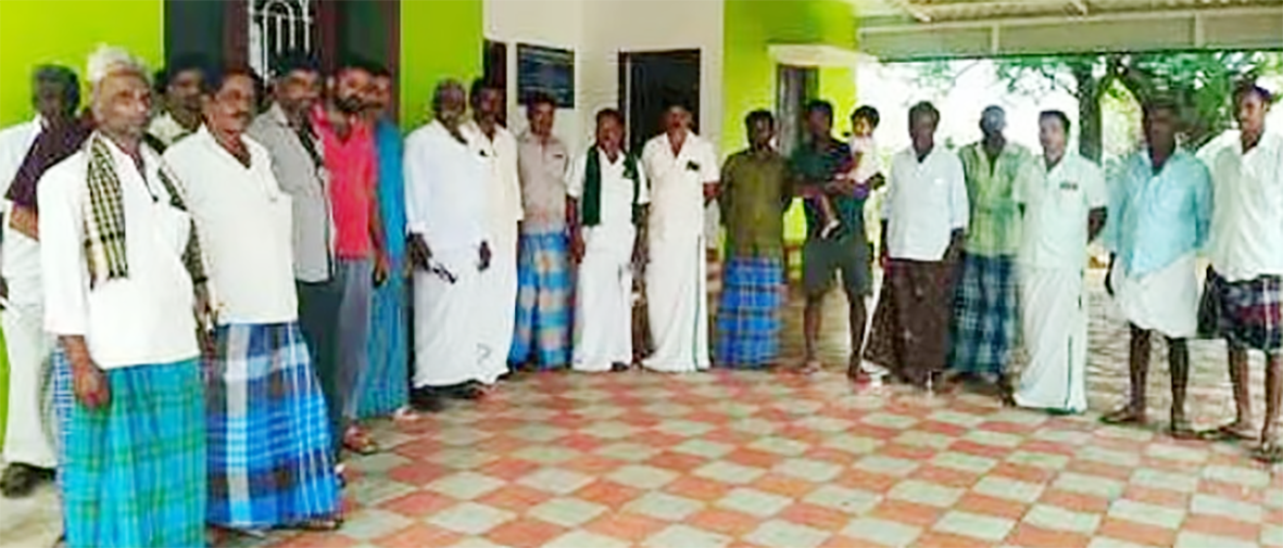 தொடர்ந்து பயிர்களை சேதப்படுத்தி வரும் யானைகள்