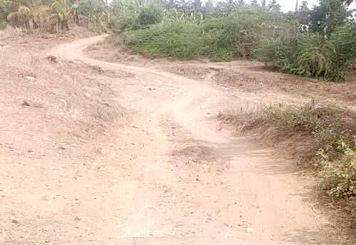 முஸ்குந்தா ஆற்றின் குறுக்கே உயர்மட்ட பாலம் அமைக்க கோரிக்கை