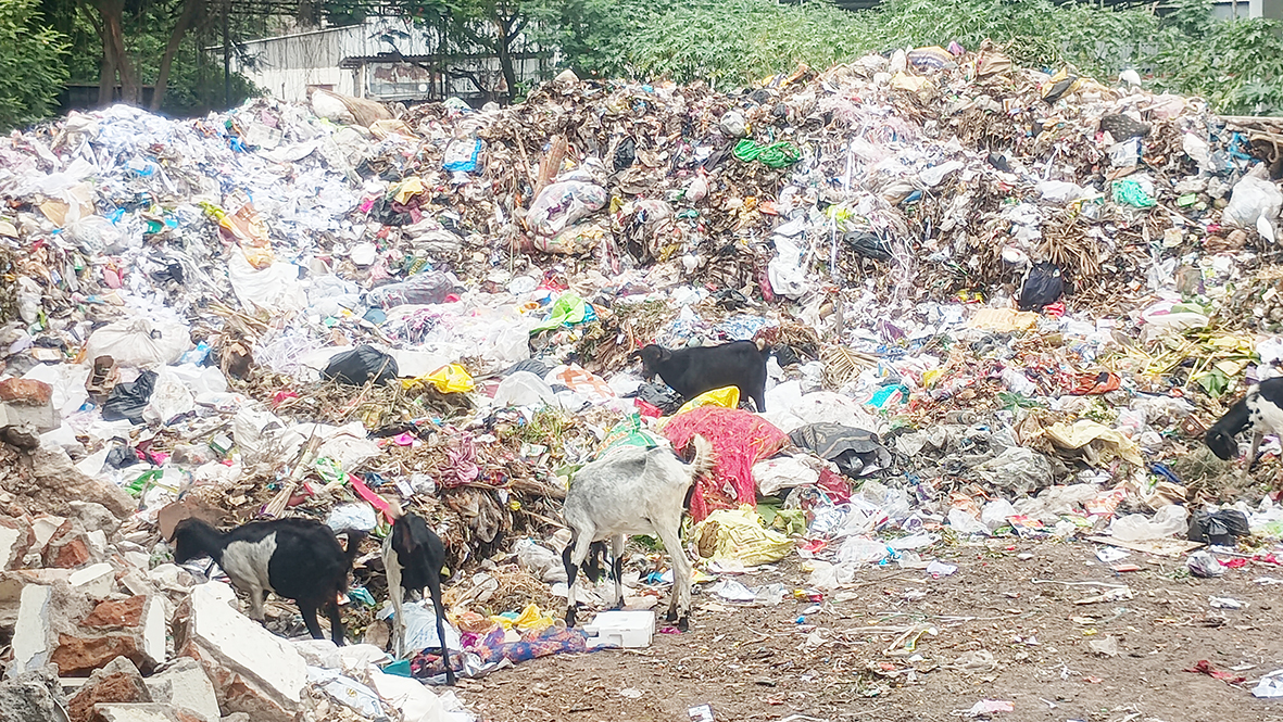 மலை போல் குவித்து வைக்கப்பட்டிருக்கும் குப்பை: தினமும் தொல்லையில் சிக்கித் தவிக்கும் மக்கள்