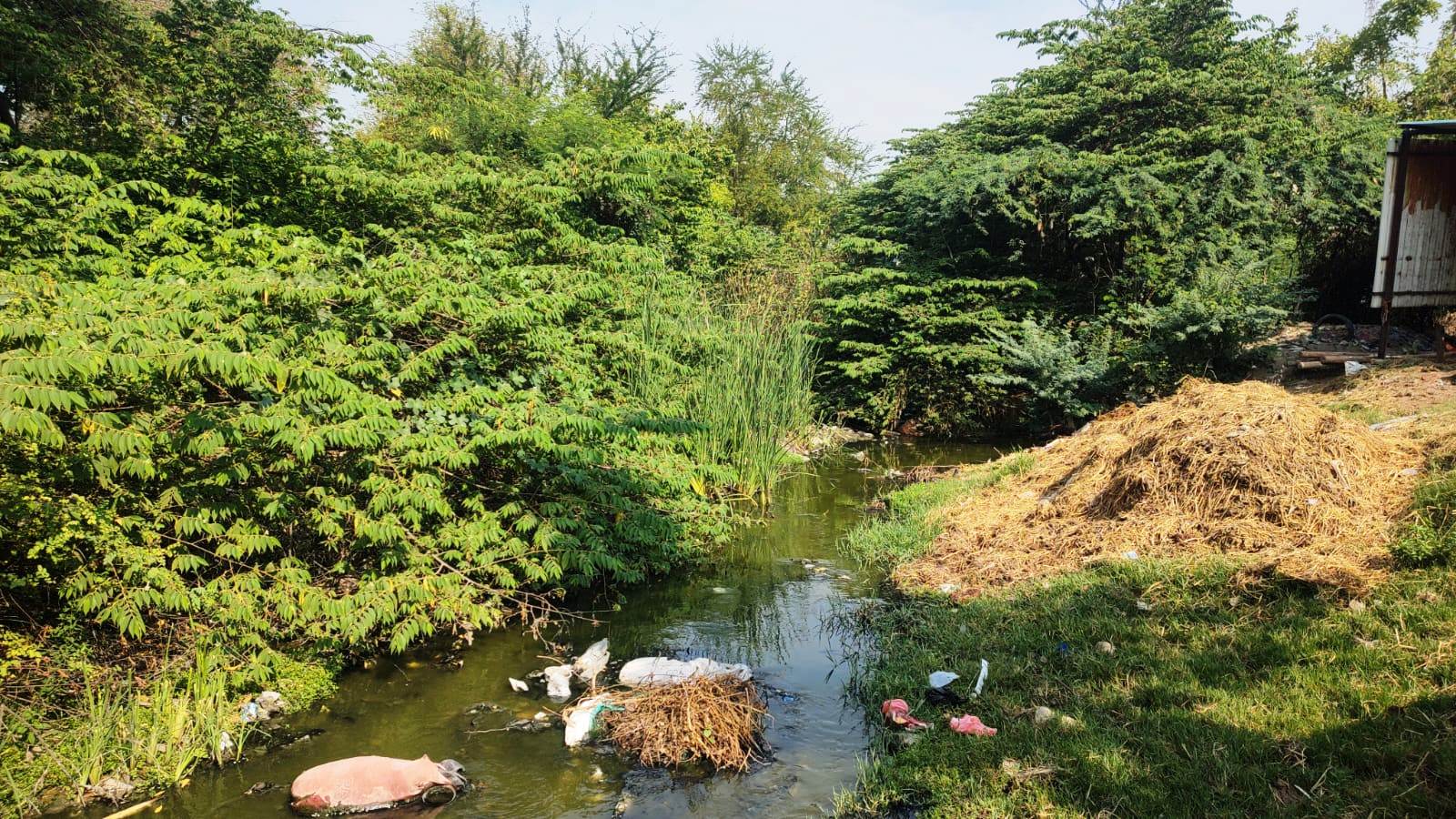 தண்டலம் ஏரி கால்வாயில் தூர்வாரும் பணி தொய்வு: கொசுத் தொல்லையால் மக்கள் அவதி!