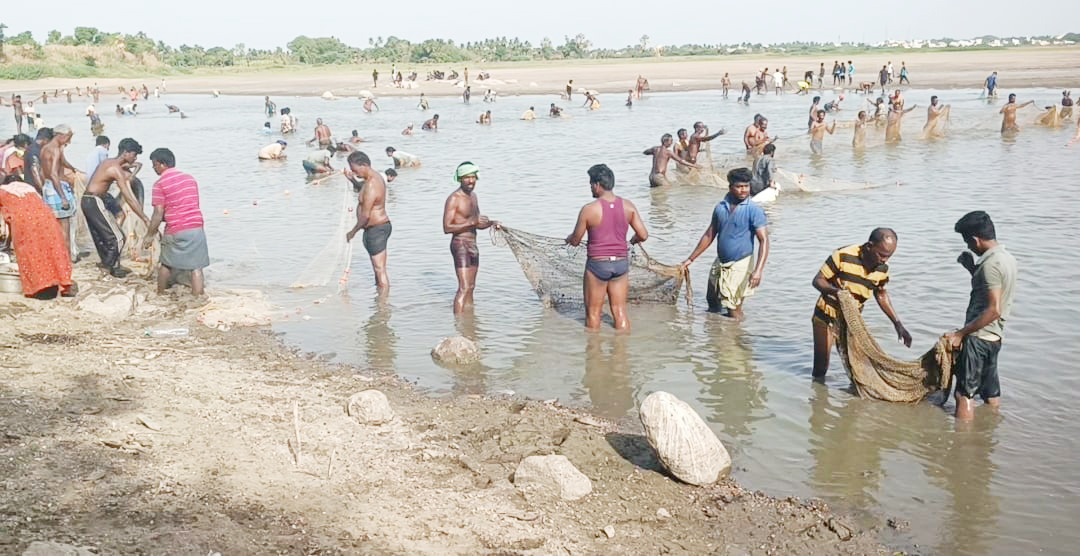காழியூர் ஏரி: பாரம்பரிய மீன்பிடி திருவிழா