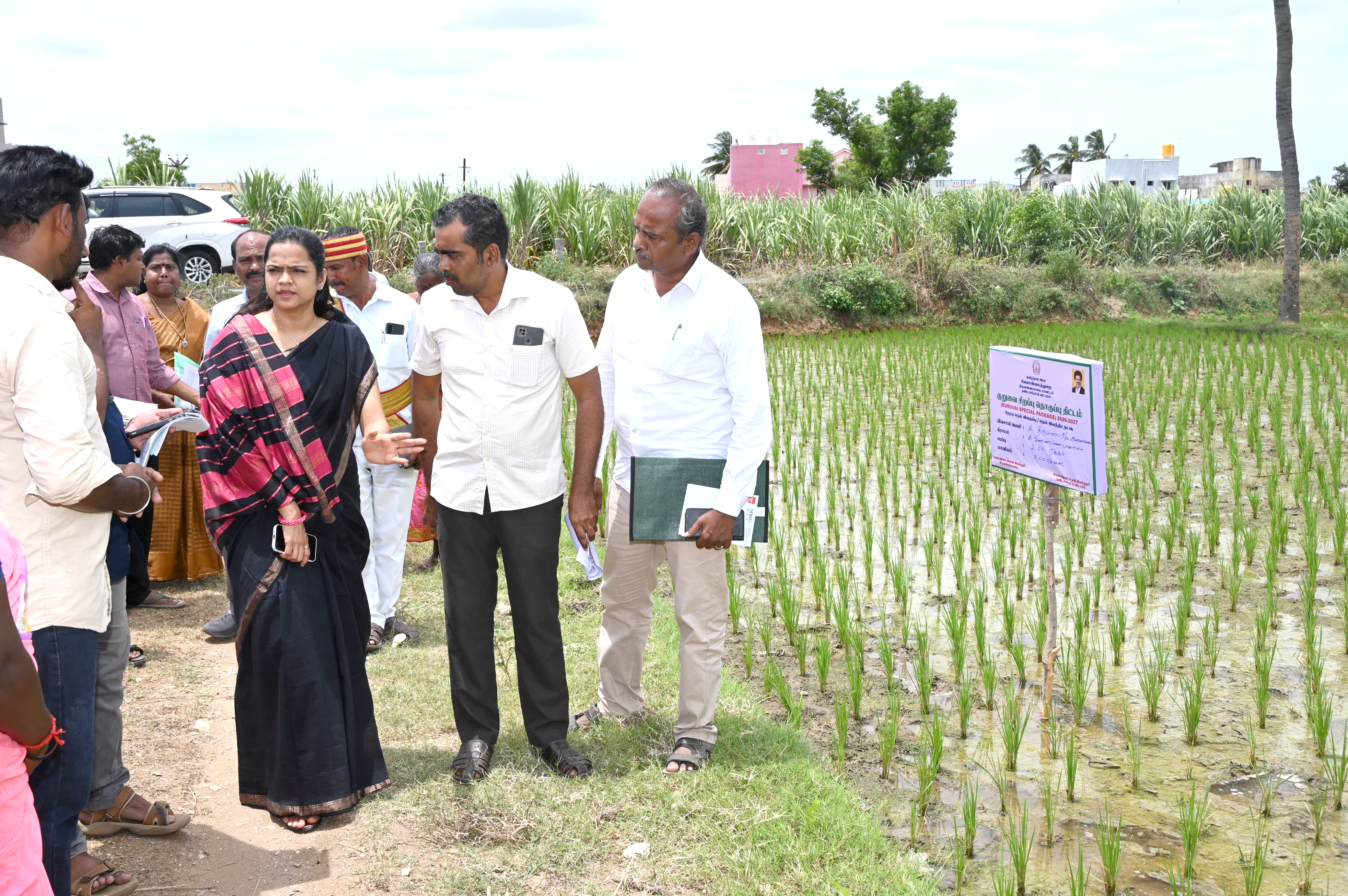 திருவண்ணாமலை மாவட்டம், தண்டராம்பட்டு ஊராட்சி